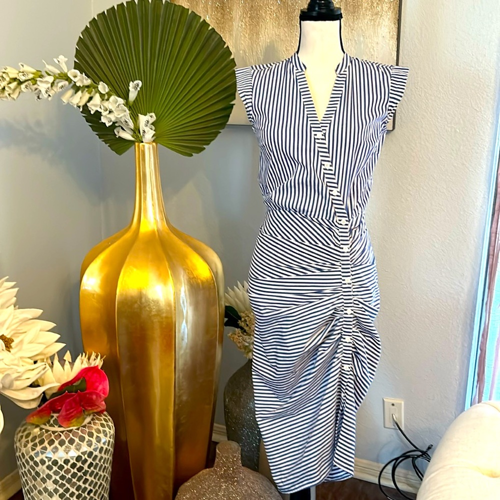 Veronica Beard shirt dress 2